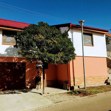 הוסטופצ'ה Apartman Pavlenka מראה חיצוני תמונה