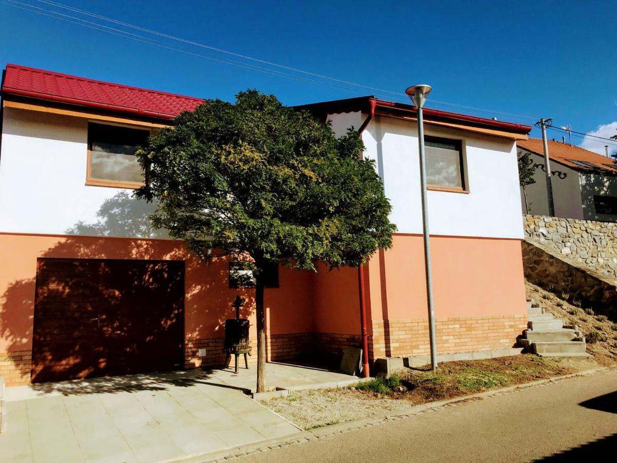 הוסטופצ'ה Apartman Pavlenka מראה חיצוני תמונה